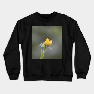 Blooming Crewneck Sweatshirt